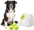 Hračka pro psa All For Paws Interactives Maxi Ball Launcher + míčky