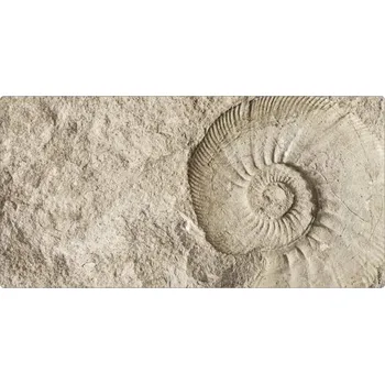 Koupelnová zádní stěna mySPOTTI aqua Fossil 90x45 cm