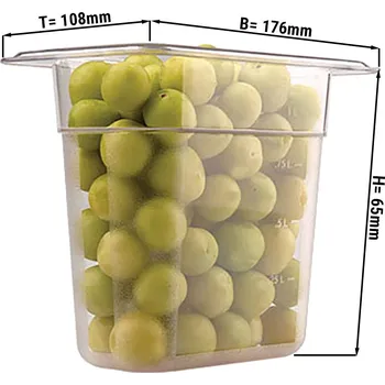 Dóza na potraviny G.Gastro Polykarbonátová nádoba GN 1/9 - čirá - hloubka 65 mm