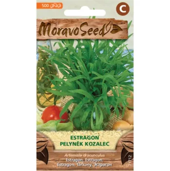 Semeno MoravoSeed Estragon Pelyněk kozalec 500 ks