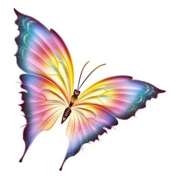 samolepka Samolepka (na auto, notebook) motýl (7)