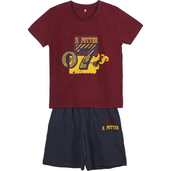 Chlapecké oblečení Dětské tričko + šortky Harry Potter 07 10 let