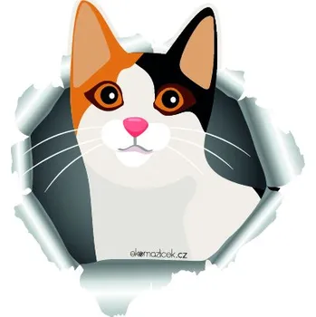 Samolepicí dekorace na vozidlo Samolepka na auto KOČKA LEZE DÍROU