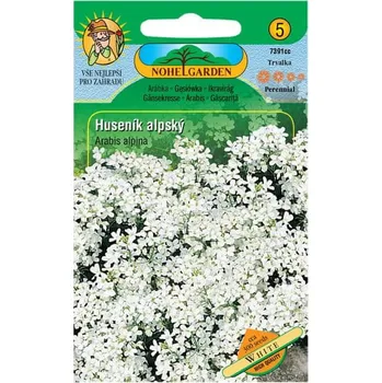 Semeno Nohel Garden Huseník alpský bílý 0,1 g