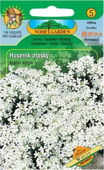 Semeno Nohel Garden Huseník alpský bílý 0,1 g