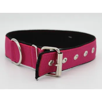 Obojek pro psa Obojek popruh DOLEŽEL kovová přezka polstrovaný 60cm fialová