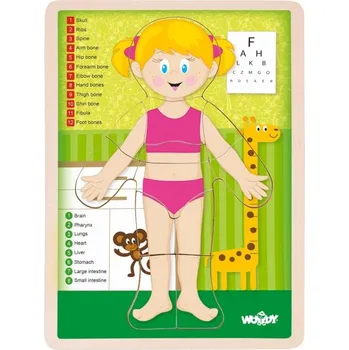 Puzzle WOODY Oboustranné puzzle Lidské tělo - Dívka (anglicky)