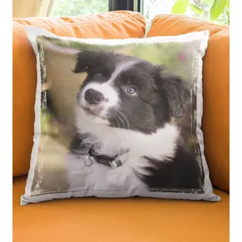 Dekorativní polštářek Polštář Pes 14 29 x 29 cm