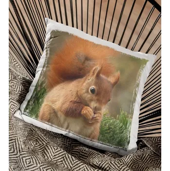 Dekorativní polštářek Polštář Veverka 29 x 29 cm