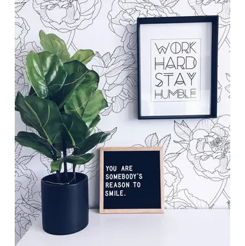 Tapeta Coloray Fototapeta Růže ilustrace Samolepící Fototapeta Vliesová 250 x 250 cm coloraydecor-f-ss-425948071