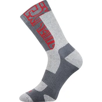 Pánské oblečení Ponožky VoXX MATRIX Světle šedá 26-28 (39-42)