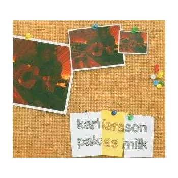 Zahraniční hudba CD Karl Larsson: Pale As Milk 2017