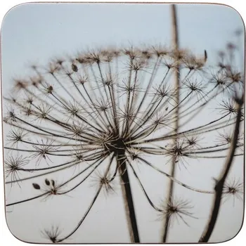 Podtácek 6ks pevné korkové podtácky s motivem Bolševníku - 10*10*0,4cm