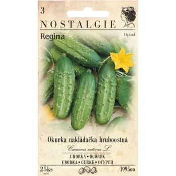 Semeno Nostalgie Regina okurka nakládačka hruboostná 25 ks