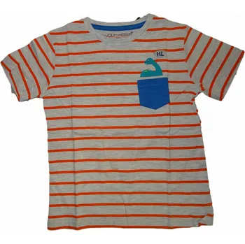 Chlapecké šedé tričko s oranžovými proužky a dinosaurem 122