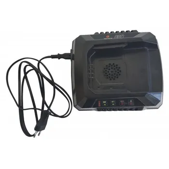 VeGA 50GCHARG80V2A nabíječka