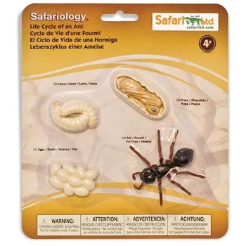 Figurka Safari Ltd. Životní cyklus mravenec