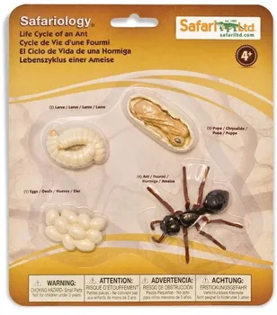 Figurka Safari Ltd. Životní cyklus mravenec