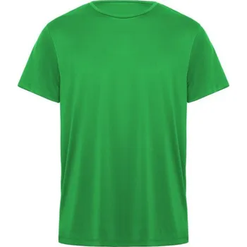 Pánské tričko ROLY Tričko DAYTONA, sportovní, pánské, krátký rukáv E0420-226-12 Zelené kapradí 12 roků