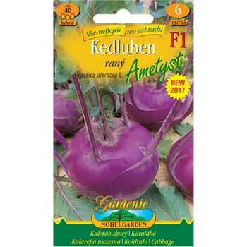 Zahrada Kedluben raný AMETYST F1 modrý