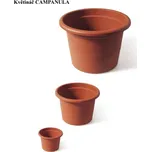 Květ. d13cm CAMPANULA TER