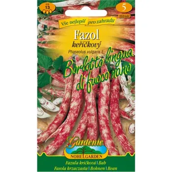 Pěstitelství Fazol keříčkový BORLOTTO LINGUA, melírovaný