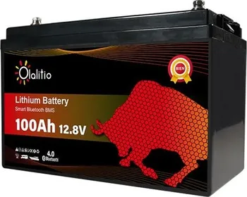 solární baterie Olalitio Smart BMS 04250543