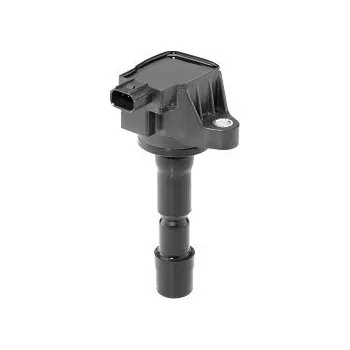 Zapalovací cívka Zapalovací cívka BorgWarner (BERU) ZSE210