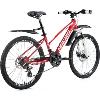 Dětské kolo Recenze Arezzo Roco 2 24"