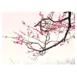 Malvis Vliesová fototapeta 432 x 290 cm…