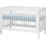 Pinio Basic 120 x 60 cm