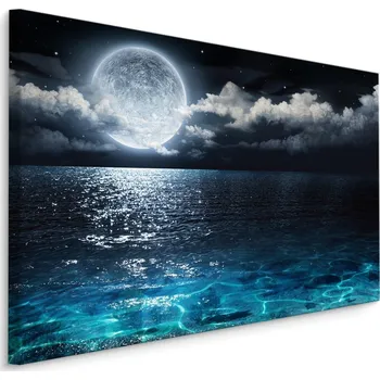 Plátno Moře V Noci S Měsícem Varianta: 30x20