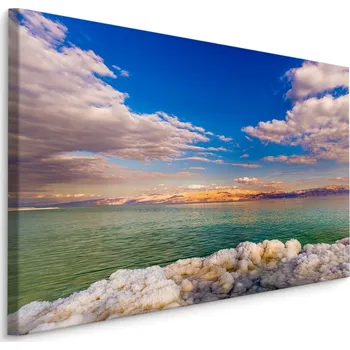 Obraz Plátno Mrtvé Moře A Sůl Varianta: 30x20