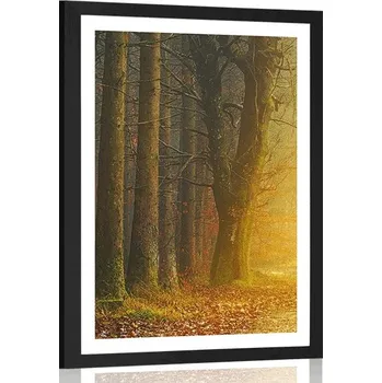 Plakát Dovido Plakát s paspartou cesta v lese