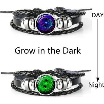 Náramek Jewelry Kožený náramek s vyměnitelným přívěškem Luminiscenční - znamení zvěrokruhu (Modrý) Ryby (21. 2. až 20. 3.)