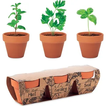 Piknikový koš Terakotová sada 3 bylinek Flowerpot