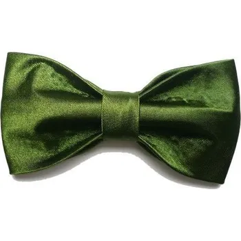 Karnevalový doplněk Motýlek elegán na gumičce, rozměry 10 x 5 cm Zelený