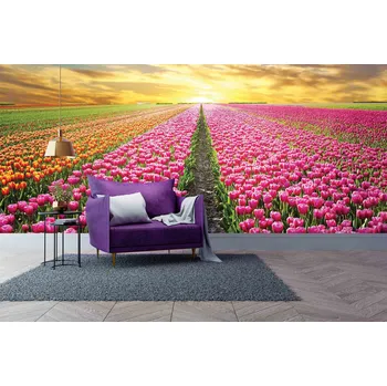 Malvis ® Tapeta Pole tulipánů Vel. (šířka x výška): 288 x 200 cm