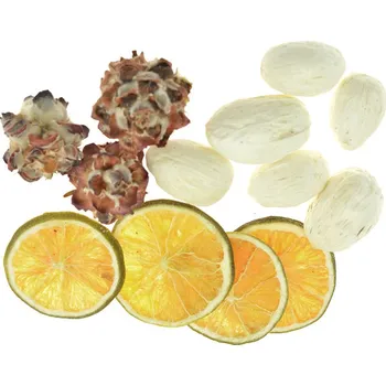 Vánoční dekorace Euro Habitat Sušené přírodní dekorace mix 10