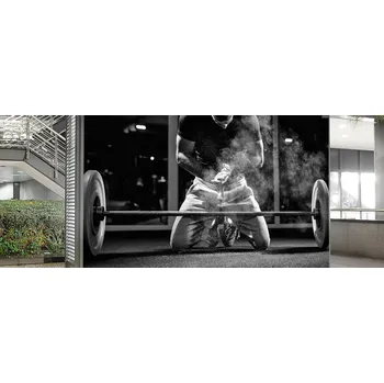 Tapeta Malvis ® Tapeta Příprava na cvičení Vel. (šířka x výška): 432 x 290 cm