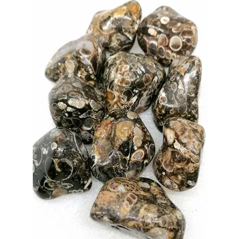 Přírodní kámen Turitella tromlovaná