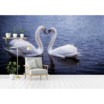 Fototapeta Malvis ® Tapeta Labutě Vel. (šířka x výška): 432 x 290 cm