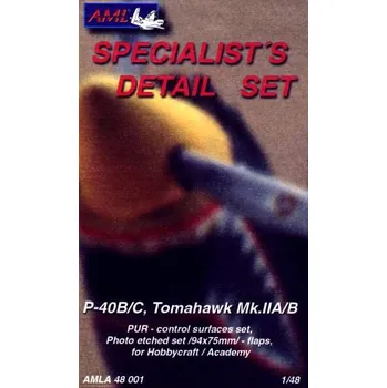 Plastikový model AML 1/48 P-40B/C Detail Set (control surf. set,flaps)