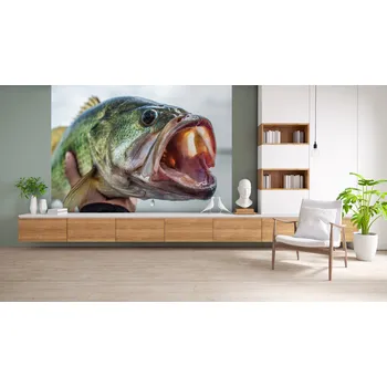 Tapeta Malvis ® Tapeta okoun nilský Vel. (šířka x výška): 144 x 105 cm