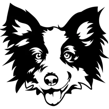 Vsepropejska Border kolie dřevěná dekorace na zeď Rozměr (cm): 35 x 34