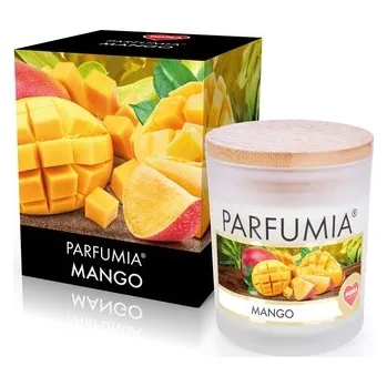 Svíčka Sójová vonná EKO svíce PARFUMIA, MANGO, 250 ml
