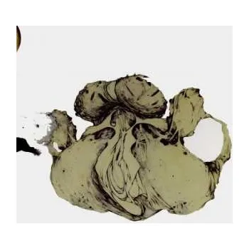 Zahraniční hudba 3LP Coil: The Ape Of Naples / The New Backwards LTD 2023 Limited Edition