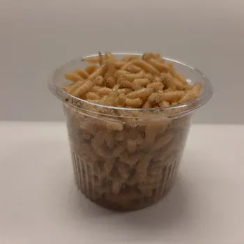 Umělá nástraha Pohoda Červi bílí krabiča 2 dl čisté