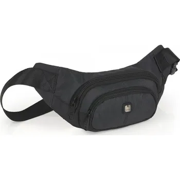 Gabol Focus ledvinka