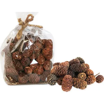 Zahradní dekorace Šišky olše 150g natural (545883)